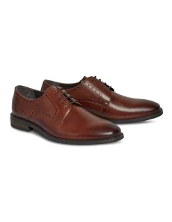 Best deal 🌟 Johnny Bigg Chester Brogue 👗 Dress 👟 Shoe In Brown 👍